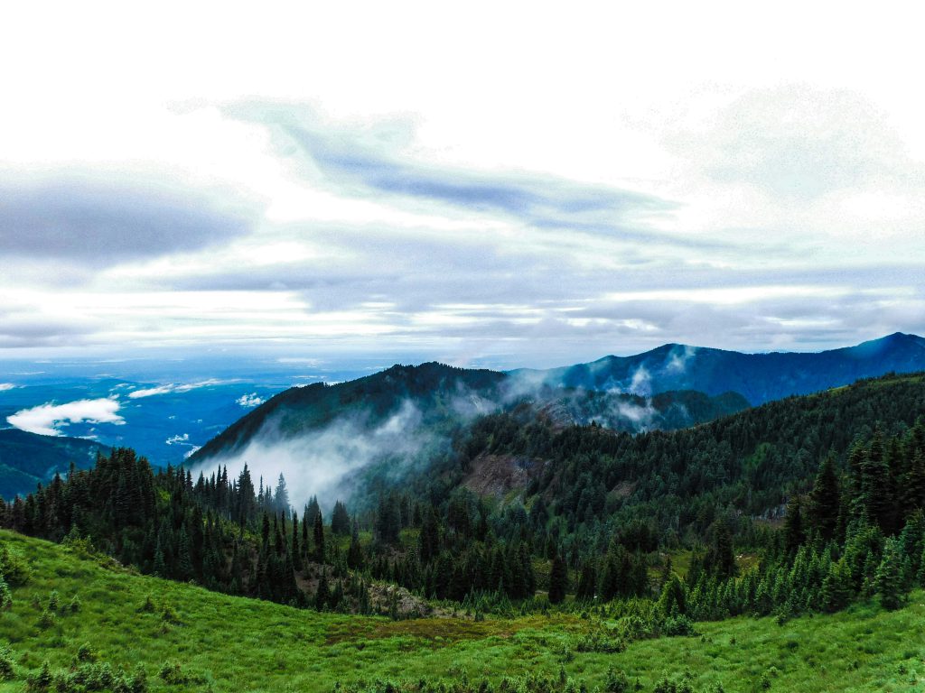peter robbins dibwicxqqlc unsplash